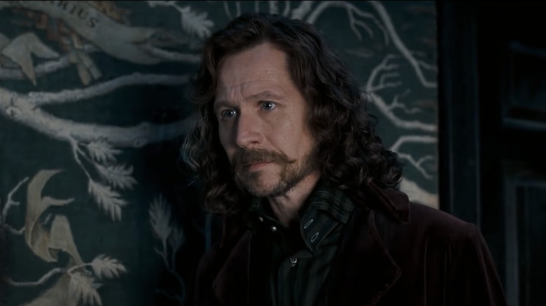 Sirius Black looking pensive