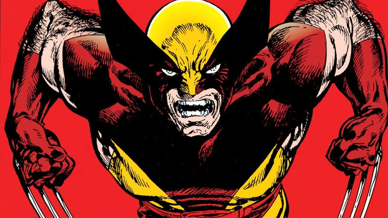 Wolverine with claws unsheathed